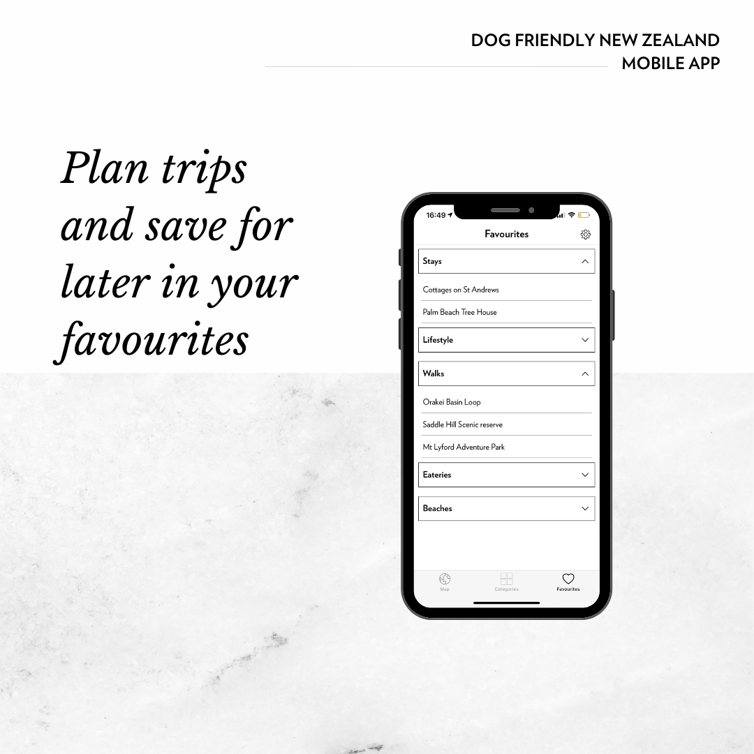 dog friendly places